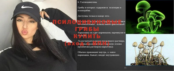 гашик Абдулино
