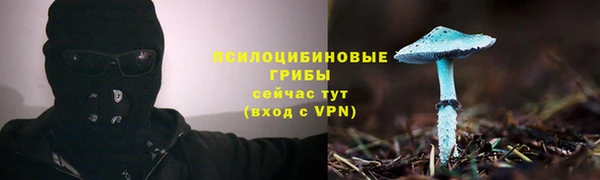 гашик Абдулино