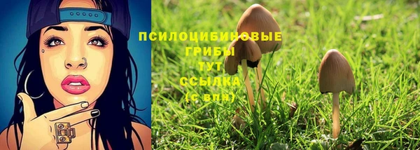 гашик Абдулино