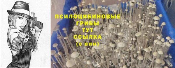 гашик Абдулино