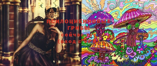 тгк Александровское
